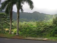 2003-05-16-02-Luana-Hills.JPG