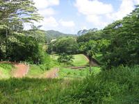 2003-05-16-07-Luana-Hills.JPG