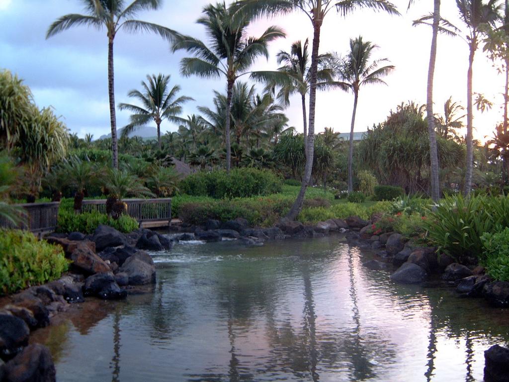 2003-05-25-37-Hyatt-Grounds.JPG