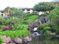 2003-05-25-45-Hyatt-Grounds.JPG