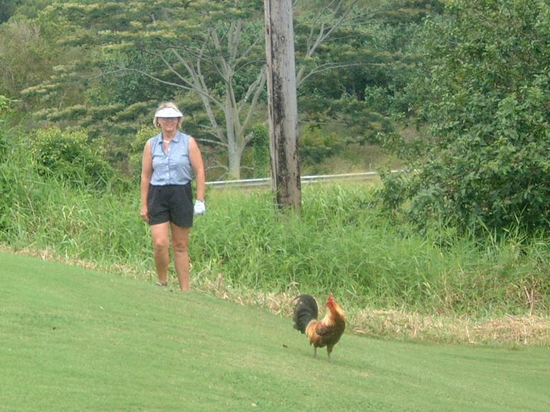 2003-05-19-Donna-Rooster.JPG