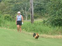 2003-05-19-Donna-Rooster.JPG