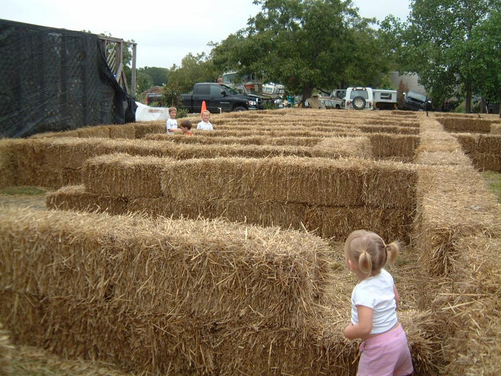 2003/10(Oct)/04(Pumpkin-Patch)/1024x768_2003-10-07-Pumpkin-Patch-04.JPG