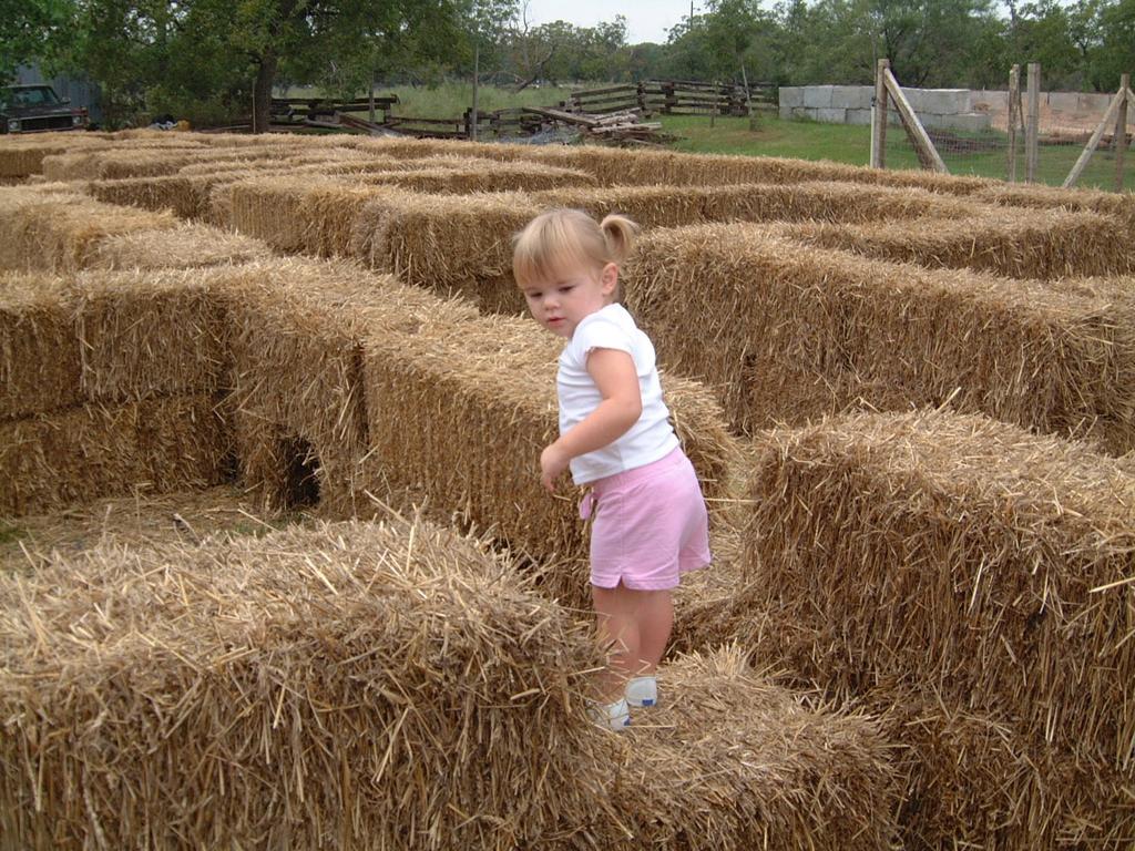 2003/10(Oct)/04(Pumpkin-Patch)/1024x768_2003-10-07-Pumpkin-Patch-05.JPG