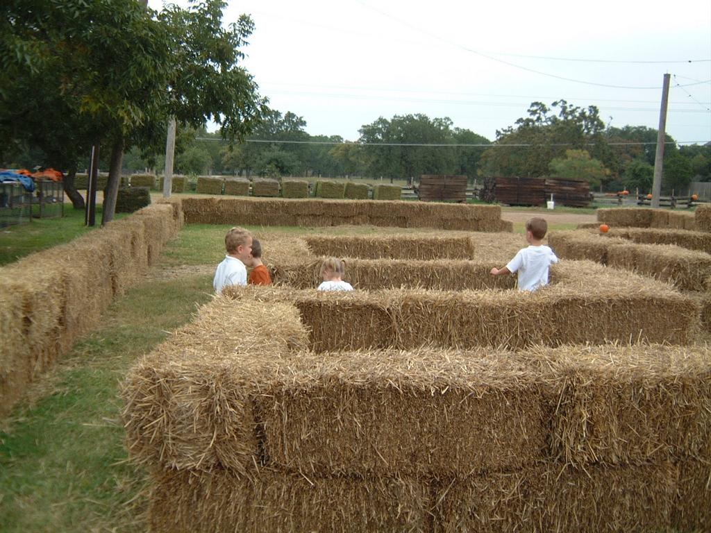 2003/10(Oct)/04(Pumpkin-Patch)/1024x768_2003-10-07-Pumpkin-Patch-07.JPG