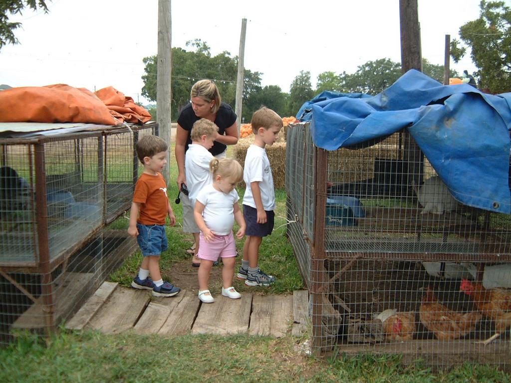 2003/10(Oct)/04(Pumpkin-Patch)/1024x768_2003-10-07-Pumpkin-Patch-12.JPG