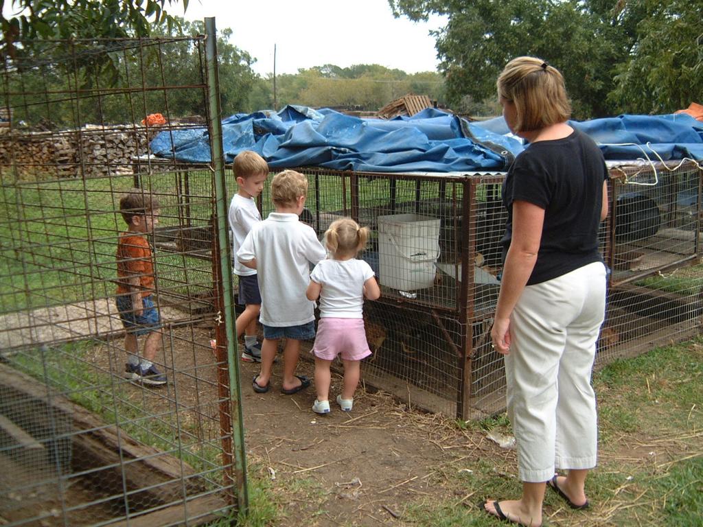 2003/10(Oct)/04(Pumpkin-Patch)/1024x768_2003-10-07-Pumpkin-Patch-15.JPG