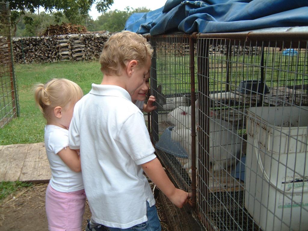 2003/10(Oct)/04(Pumpkin-Patch)/1024x768_2003-10-07-Pumpkin-Patch-16.JPG