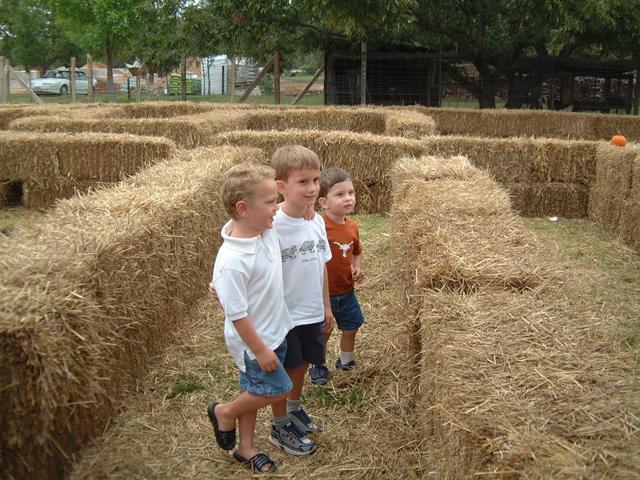 2003/10(Oct)/04(Pumpkin-Patch)/640x480_2003-10-07-Pumpkin-Patch-03.JPG