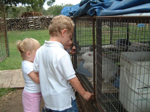 2003/10(Oct)/04(Pumpkin-Patch)/640x480_2003-10-07-Pumpkin-Patch-16.JPG