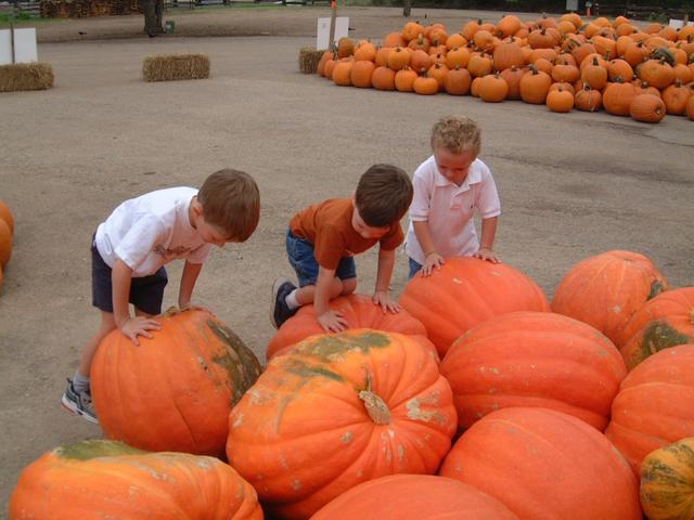 2003/10(Oct)/04(Pumpkin-Patch)/640x480_2003-10-07-Pumpkin-Patch-20.JPG