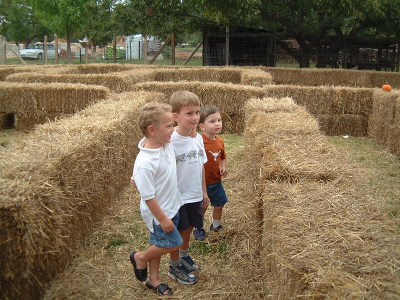 2003/10(Oct)/04(Pumpkin-Patch)/800x600_2003-10-07-Pumpkin-Patch-03.JPG