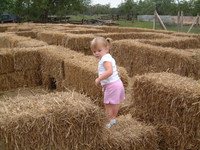 2003/10(Oct)/04(Pumpkin-Patch)/800x600_2003-10-07-Pumpkin-Patch-05.JPG