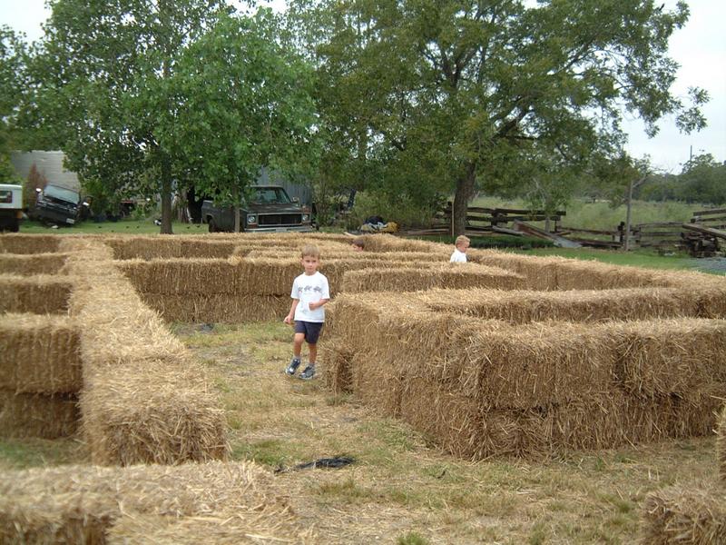 2003/10(Oct)/04(Pumpkin-Patch)/800x600_2003-10-07-Pumpkin-Patch-06.JPG