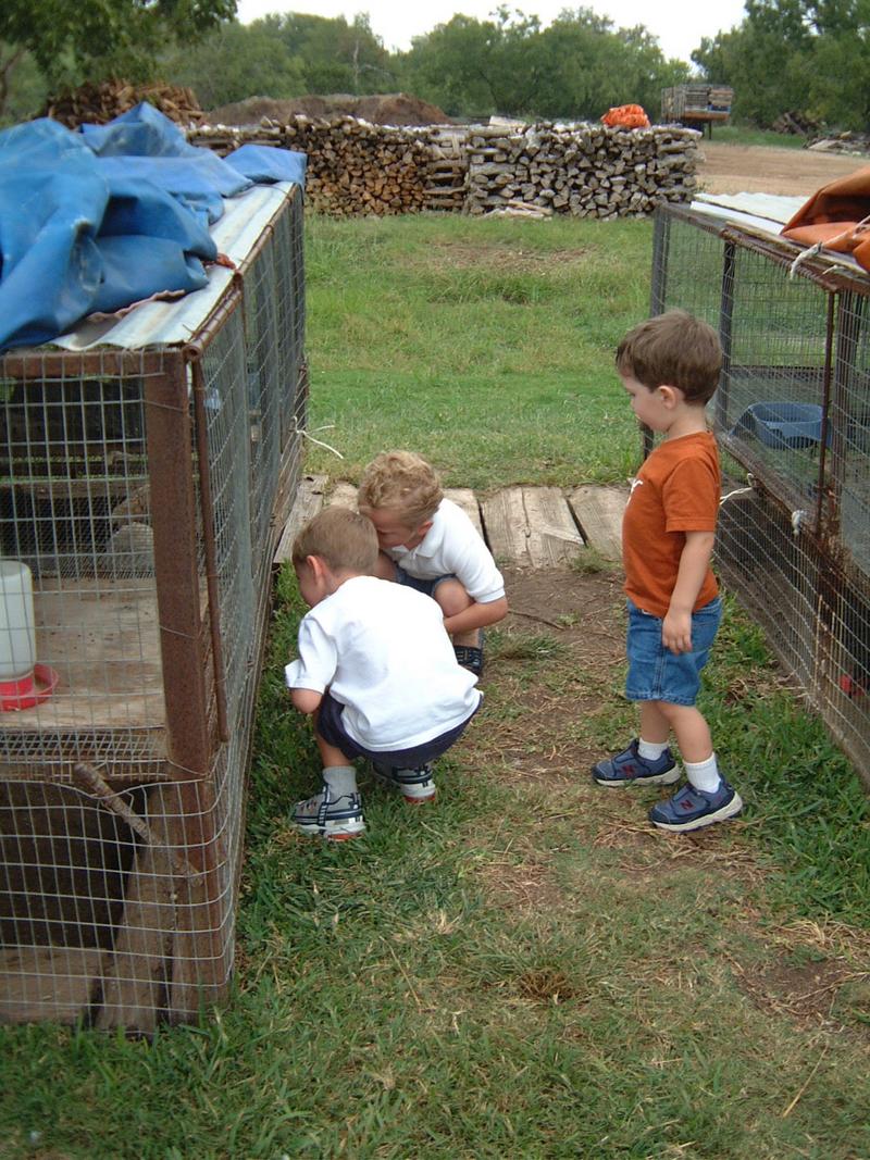 2003/10(Oct)/04(Pumpkin-Patch)/800x600_2003-10-07-Pumpkin-Patch-10.JPG