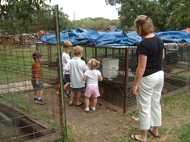 2003/10(Oct)/04(Pumpkin-Patch)/800x600_2003-10-07-Pumpkin-Patch-15.JPG