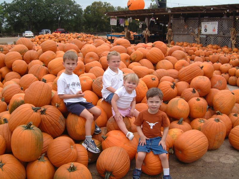 2003/10(Oct)/04(Pumpkin-Patch)/800x600_2003-10-07-Pumpkin-Patch-17.JPG