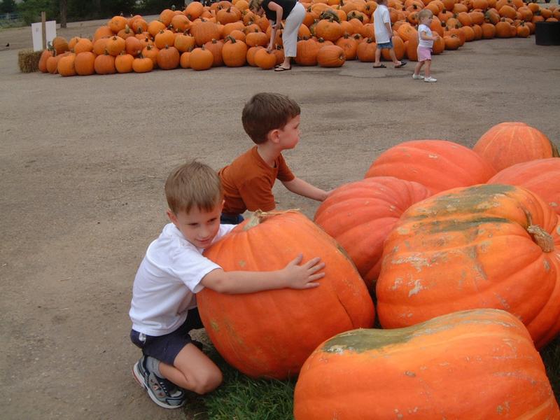 2003/10(Oct)/04(Pumpkin-Patch)/800x600_2003-10-07-Pumpkin-Patch-19.JPG