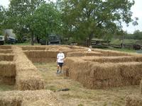 2003-10-07-Pumpkin-Patch-06.JPG