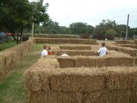 2003-10-07-Pumpkin-Patch-07.JPG
