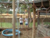 2003-10-07-Pumpkin-Patch-13.JPG
