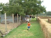 2003-10-07-Pumpkin-Patch-14.JPG