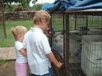 2003-10-07-Pumpkin-Patch-16.JPG