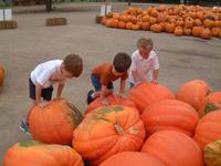 2003-10-07-Pumpkin-Patch-20.JPG