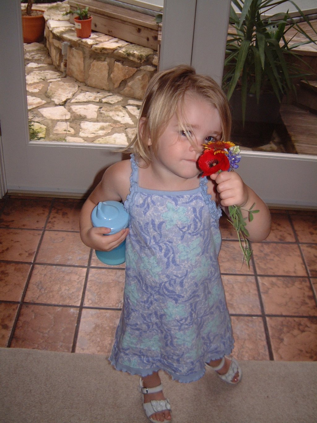 2004/05(May)/07(Vale-Kyla-Dodds)/1024x768_2004-05-23-02.JPG