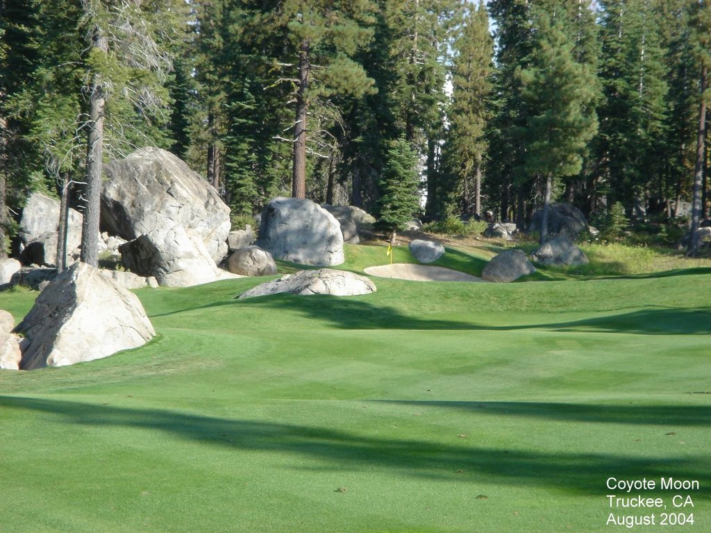 2004/08(Aug)/02(Tahoe)/1024x768_2004-08-19-08-Coyote-Moon.JPG