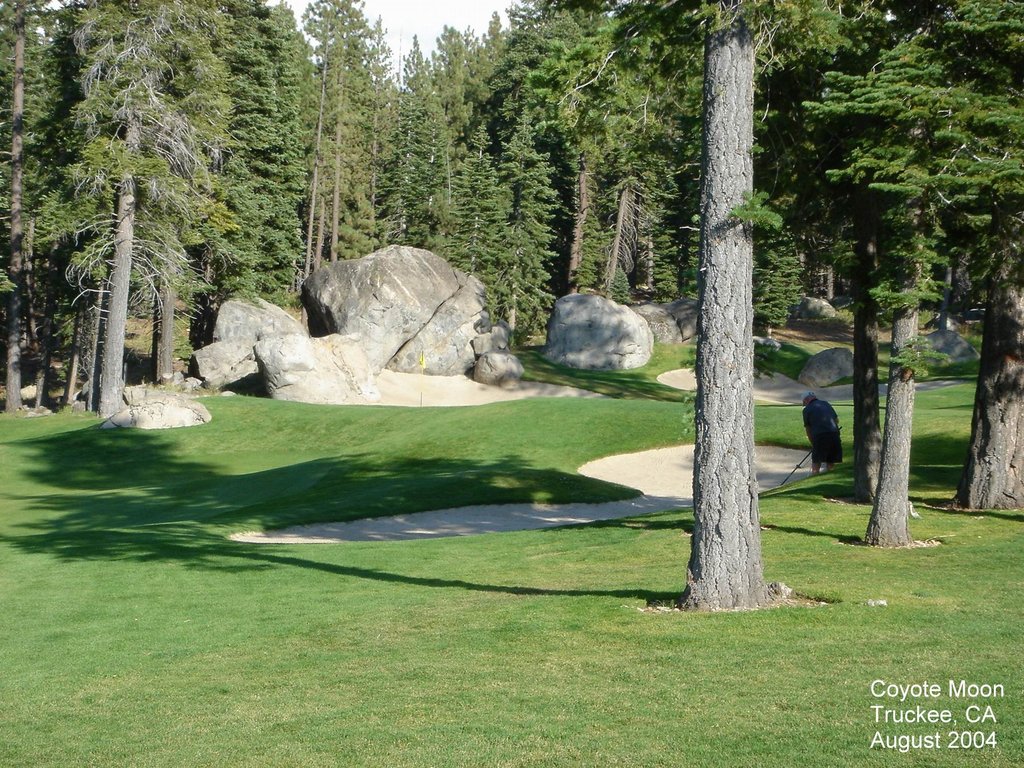2004/08(Aug)/02(Tahoe)/1024x768_2004-08-19-09-Coyote-Moon.JPG