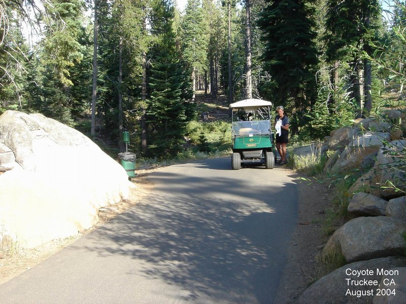 2004/08(Aug)/02(Tahoe)/800x600_2004-08-19-11-Coyote-Moon.JPG