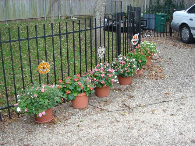 2004-10-15-Home-Halloween-Decorations-10.jpg
