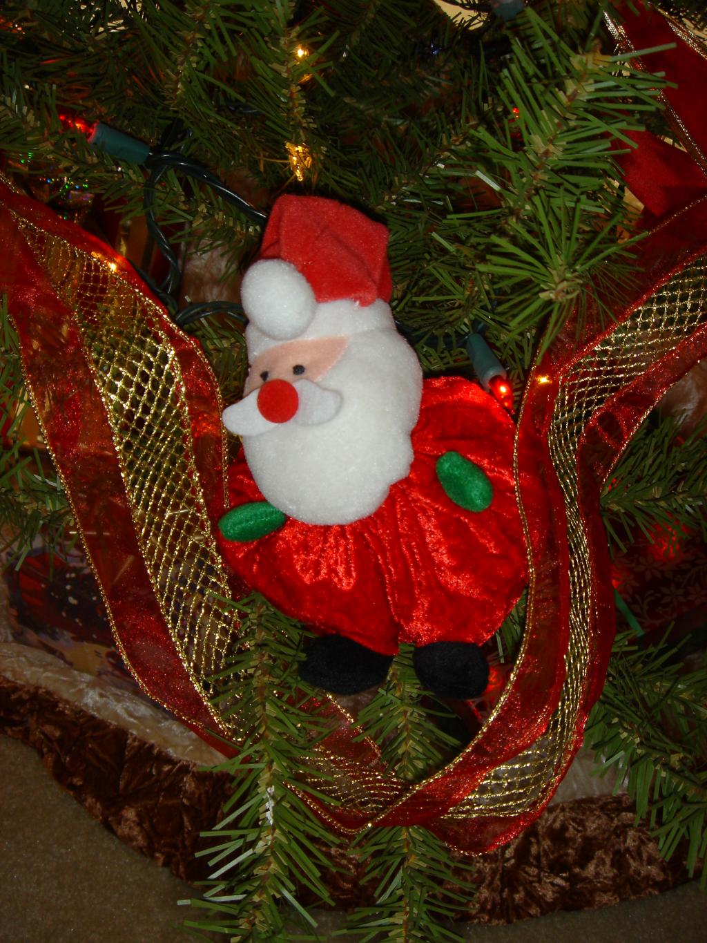 2004-12-10-Home-Tree-17.JPG