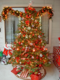 2004/12(Dec)/03(Christmas-Tree)/2004-12-10-Home-Tree-1.JPG