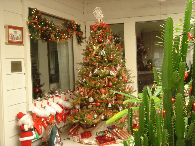 2004/12(Dec)/03(Christmas-Tree)/640x480_2004-12-10-Home-Tree-5.JPG