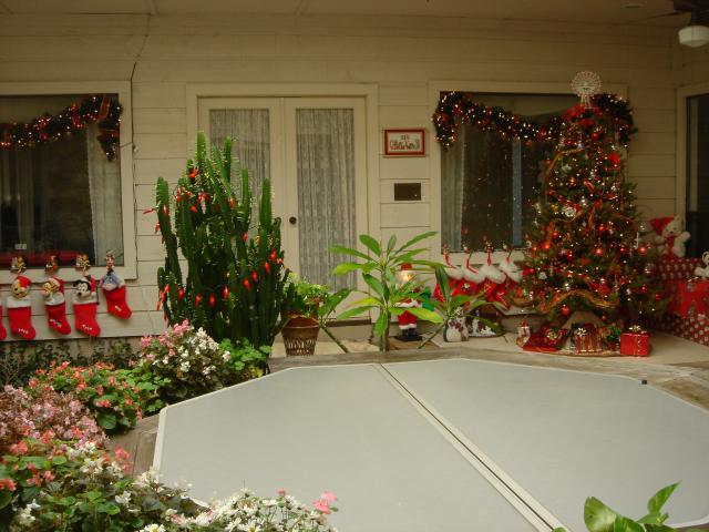 2004/12(Dec)/03(Christmas-Tree)/640x480_2004-12-10-Home-Tree-7.JPG
