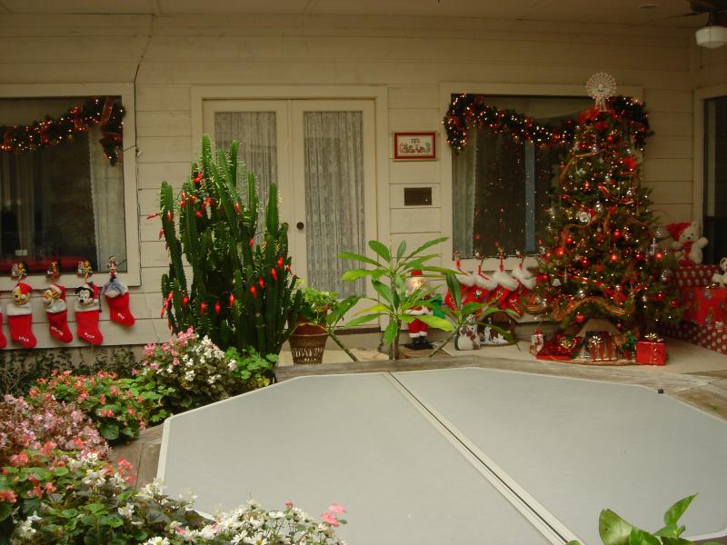 2004/12(Dec)/03(Christmas-Tree)/800x600_2004-12-10-Home-Tree-7.JPG