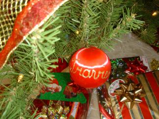 2004-12-10-Home-Tree-13.JPG