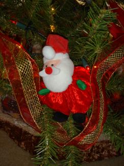 2004-12-10-Home-Tree-17.JPG