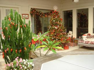 2004-12-10-Home-Tree-6.JPG