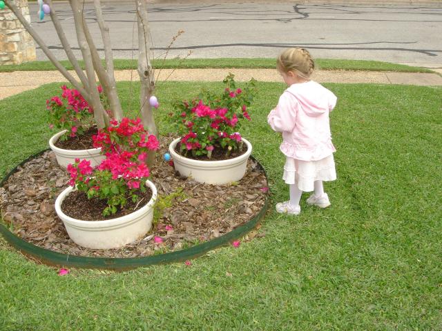 2005/03(March)/05(Easter)/640x480_2005-03-27-Easter-22.JPG