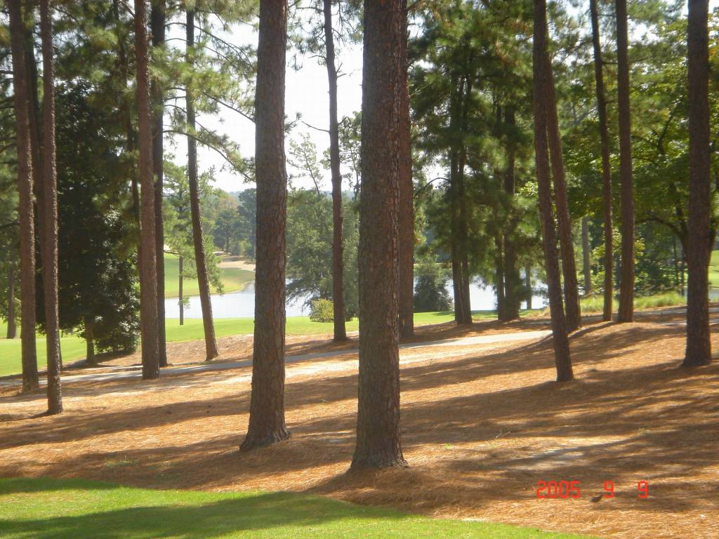 2005/09(Sept)/03(Pinehurst)/03(Round-2)/1024x768_2005-09-09-27-2ndRound-Course2.JPG