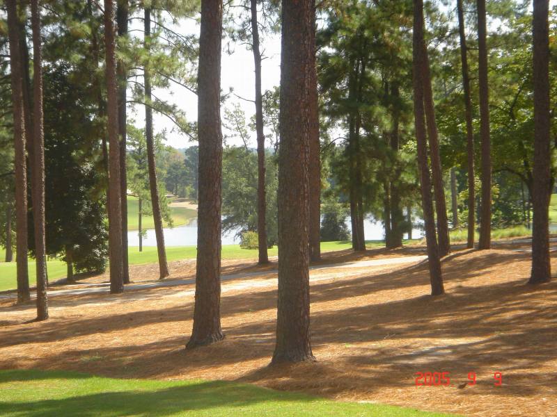 2005/09(Sept)/03(Pinehurst)/03(Round-2)/800x600_2005-09-09-27-2ndRound-Course2.JPG