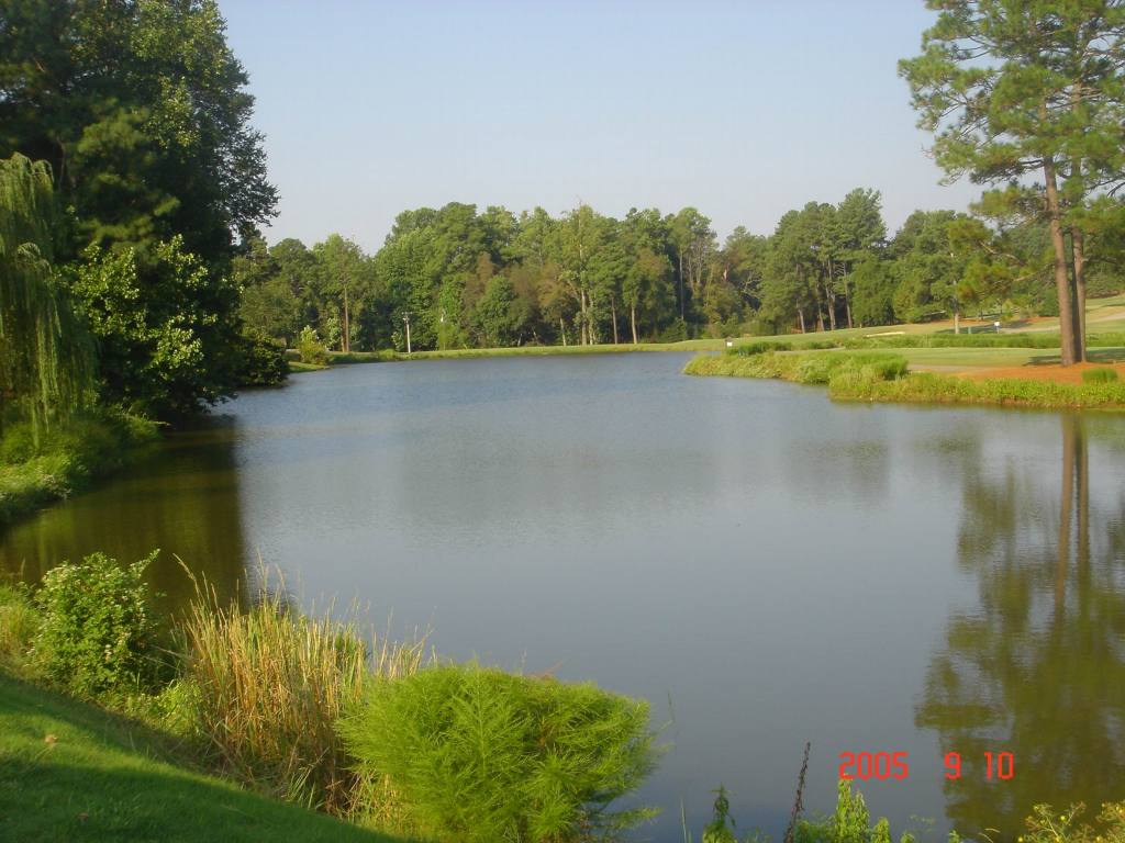 2005/09(Sept)/03(Pinehurst)/04(Round-3)/1024x768_2005-09-10-09-Round3-Course5.JPG