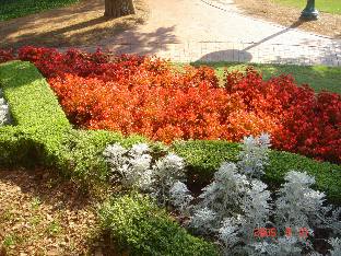 2005-09-10-59-Misc.JPG