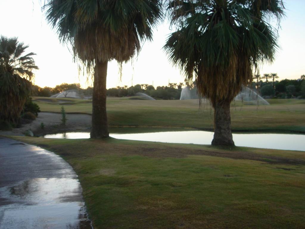 2005/10(Oct)/02(Golf-Palm-Desert)/1024x768_2005-10-08-24-Desert-Willow-Morning-Walk.JPG