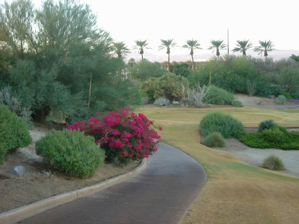 2005/10(Oct)/02(Golf-Palm-Desert)/1024x768_2005-10-08-27-Desert-Willow-Morning-Walk.JPG