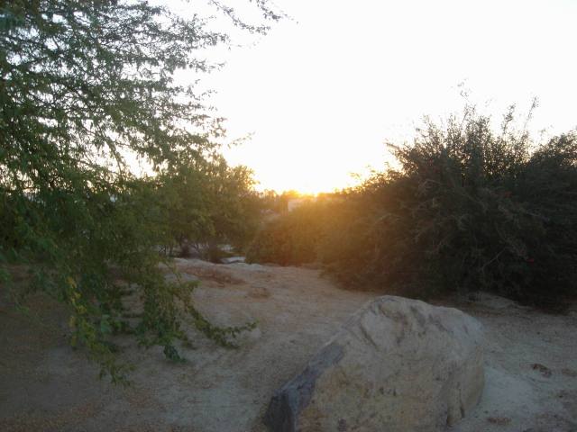 2005-10-08-25-Desert-Willow-Morning-Walk.JPG