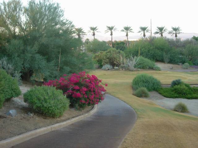2005-10-08-27-Desert-Willow-Morning-Walk.JPG